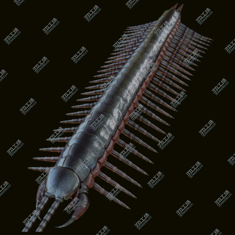 images/goods_img/202105073/3D Centipede/3.jpg
